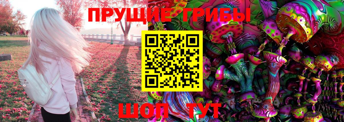 Галлюциногенные грибы Psilocybine cubensis Балаково